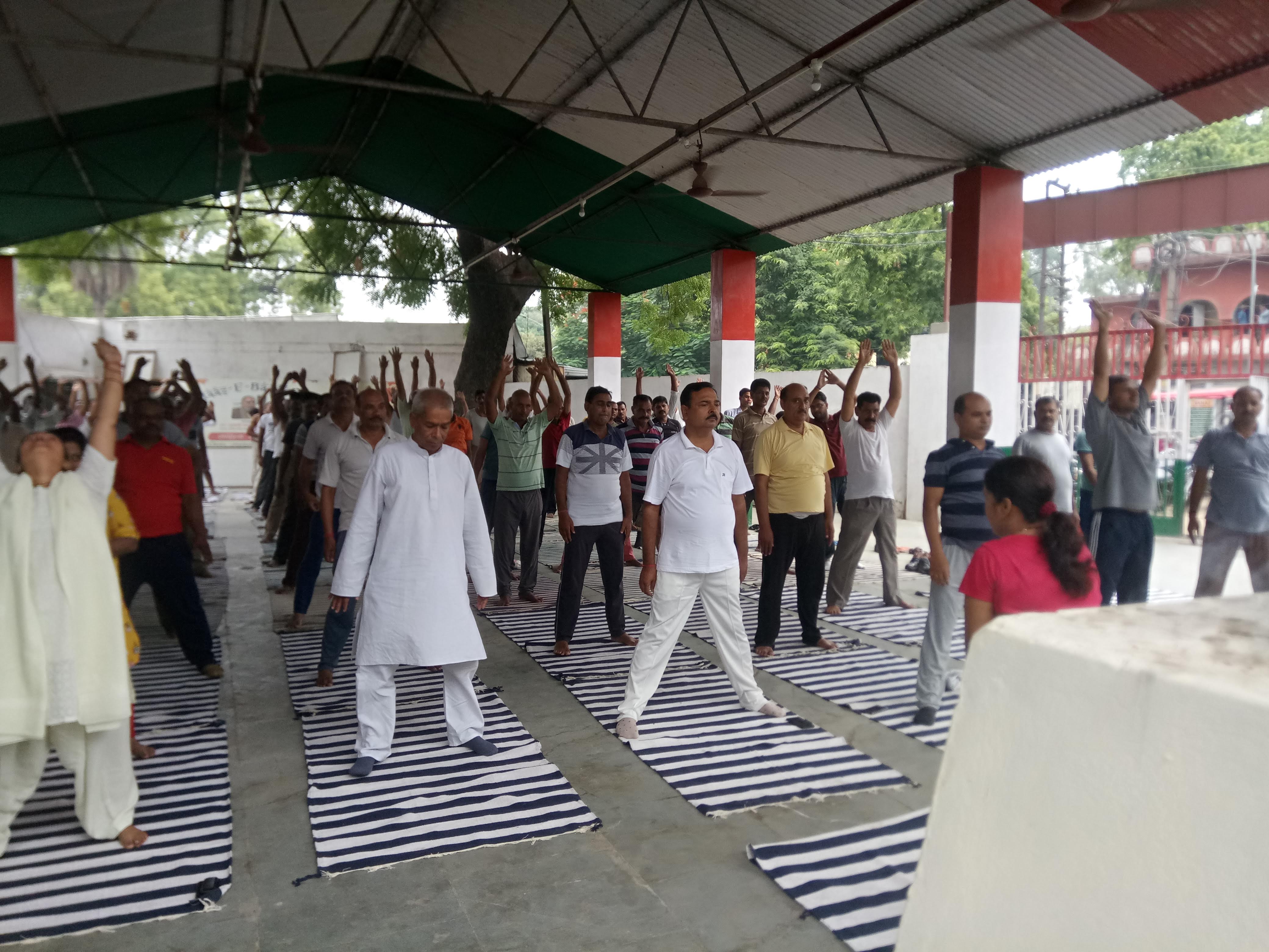 The Vidya Educational Group of Institutions